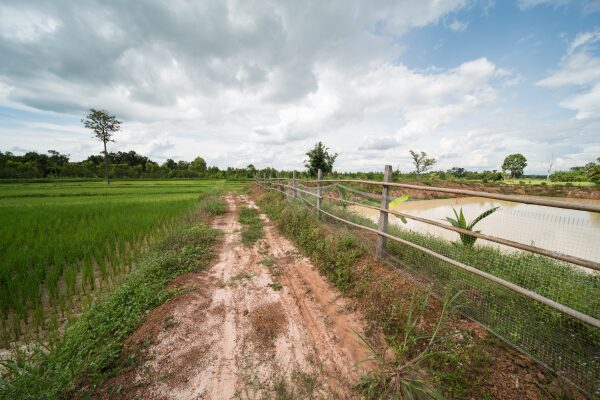 Rural Thailand