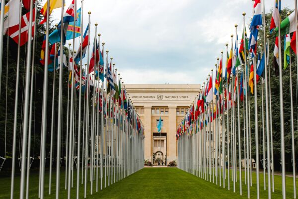 UN building with lines of flags in front