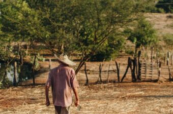 An indigenous farmer wearing a straw hat, walking through a rural landscape with dry ground and trees in the background