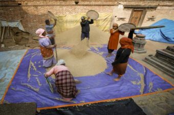 A group of people working together to process grains on a large mat in an open courtyard, using traditional tools to sift and sort the produce